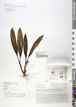 LE 01068589