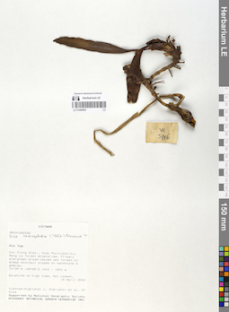 LE 01068604