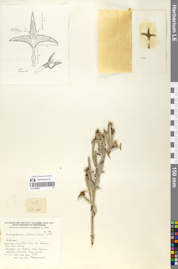LE 01068607