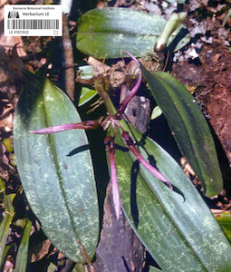 LE 01073522