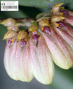 LE 01073544