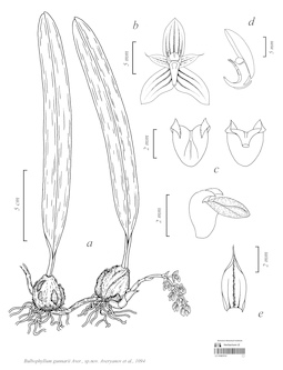 LE 01087014