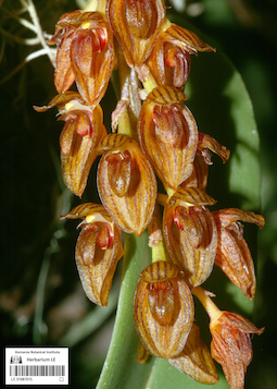 LE 01087015