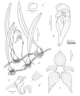 LE 01087017