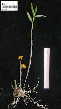 LE 01087077