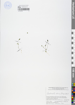 LE 01078782