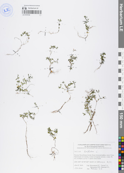 LE 01079194
