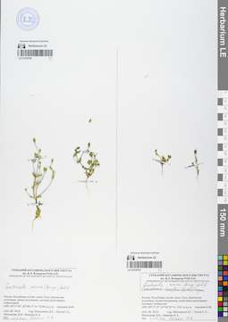 LE 01078780
