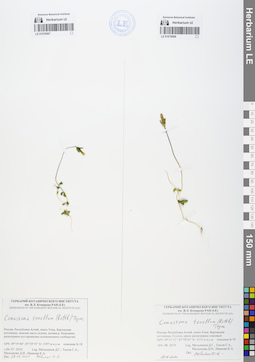 LE 01079067