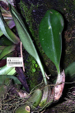 LE 01087127