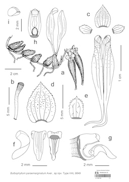 LE 01087185