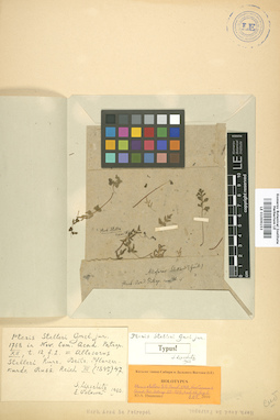 LE 01006153