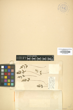 LE 01006154