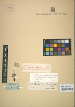 LE 01081177