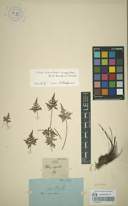 LE 01081179