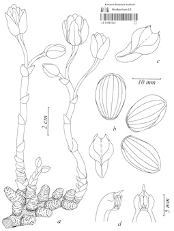 LE 01087233