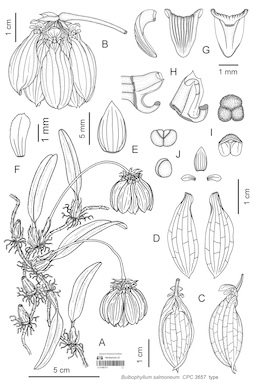 LE 01087271