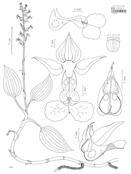 LE 01087279