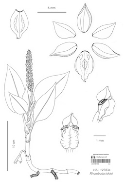 LE 01087286