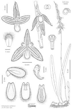LE 01087297