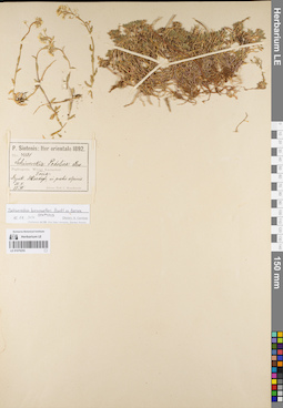 LE 01079255