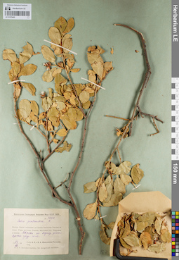 LE 01079495