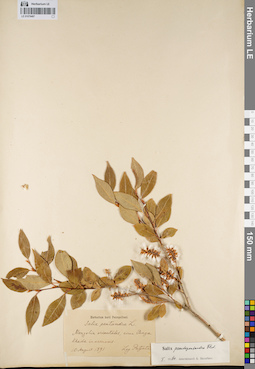 LE 01079497