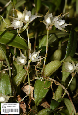 LE 01087304