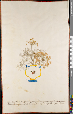 LE 01062698