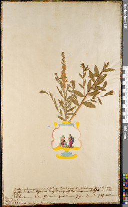 LE 01062701