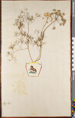 LE 01062702