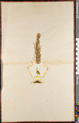 LE 01062711