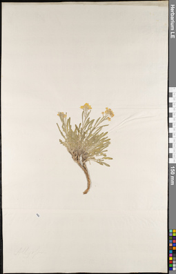 LE 01062921