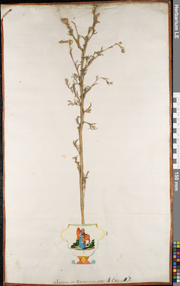 LE 01062925