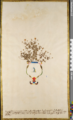 LE 01062947