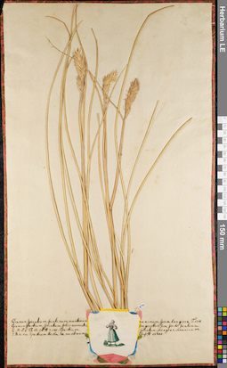LE 01062950