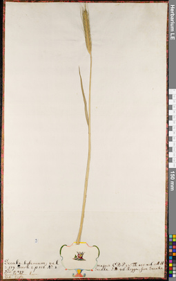 LE 01062951