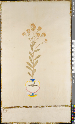 LE 01062960