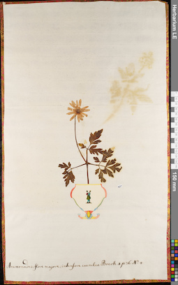 LE 01062966