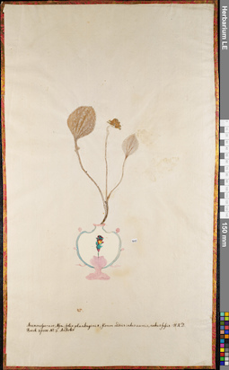 LE 01062967