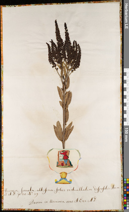 LE 01062970