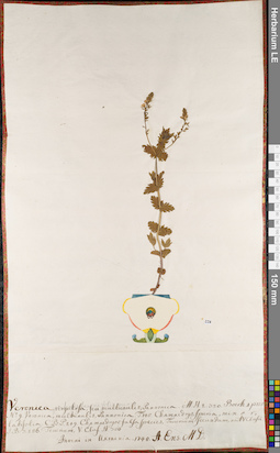 LE 01062972