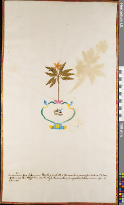 LE 01062974