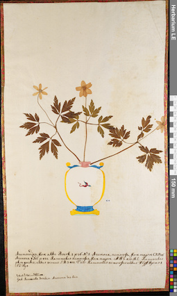 LE 01062975