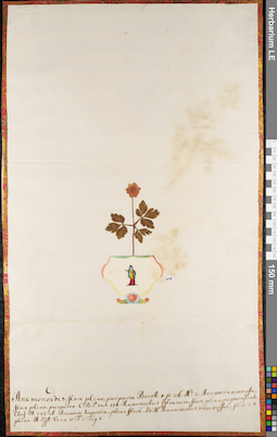 LE 01062978
