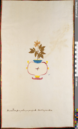 LE 01062980