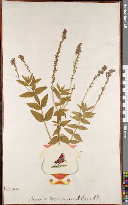 LE 01062982