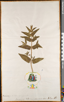 LE 01062984