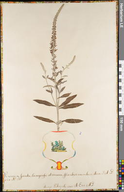 LE 01062992