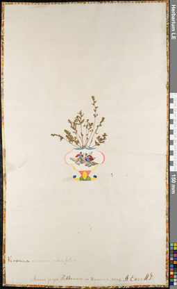 LE 01062993